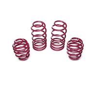 Vogtland Molle Abbassamento per Audi A3 8L 1.6 1.8 Senza S3 Bj.09.1996-05.2003