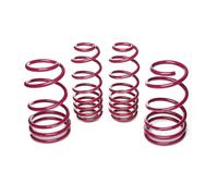 Molle ribassate sportive Mustang S197 Shelby Mustang Shelby GT500 -717