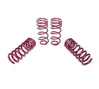 Kit Molle Assetto Vogtland 953061 per Ford Mustang