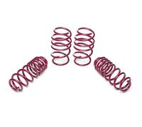 Kit Molle Assetto Vogtland 951768 per Skoda Karoq