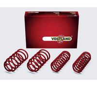 Vogtland Molle Abbassamento per BMW 3er E90 390L Berlina 320i 325i 330i 320d