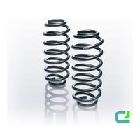 Molle Sportive Pro-Kit 30/ EIBACH Per VW CALIFORNIA T6 Camper