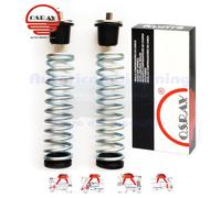 Molle Stabilizzatrici di Carico Sovraccarico per FIAT BRAVO BRAVA dal 95 al 2002