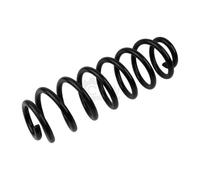 Molle Telaio Asse Posteriore Sinistro Destro Adatto A per VW Touran 1T1 1T2