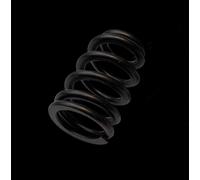 Molle Valvole Beehive Brian Crower BC1901-2 Per Polaris RZR PRO-R 4-CYL 16 Pezzi