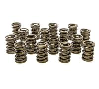 Molle Valvole - Serie HR (16) PAC RACING SPRINGS PAC-1924