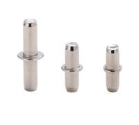 Mollette for mensole, 120 pezzi, perni in metallo nichel, supporto for mobili, libreria(6x17mm Silver 20pcs)