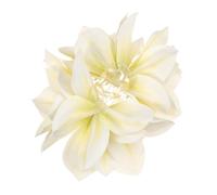 Mollette multifunzionali per capelli floreali in polimero per donne puntelli fotografici la ragione calda accessori per le vacanze clip per capelli alla moda per le donne