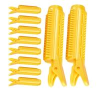 Mollette per capelli volumizzanti, 10 pezzi, per aumentare il volume, set di rulli volumizzanti istantanei, per un look più completo, strumento ideale per lo styling delle radici delle donne