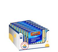 Mollette Stendibucato Resistenti Avorio - 10 Pezzi - Antiruggine con Molle in Acciaio Zincato - Misura 1.2x2x9 cm - Variazioni 4/8/12 Pezzi (8)