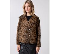 Molly Bracken - T1843DH Marrone - Abbigliamento L Marrone