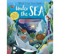 Molly Littleboy What Can You See? Under the Sea (Libro di cartone)