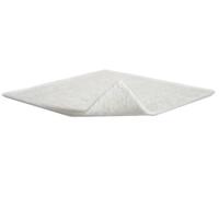 Molnlycke Health Care Melgisorb Ag Medicazione 10x10