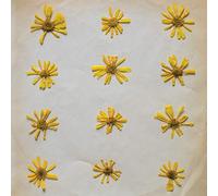 Molochs - Flowers In The Spring