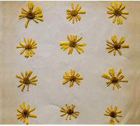 Molochs - Flowers In The Spring