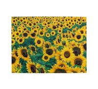 Molti bellissimi girasoli, puzzle da 500 pezzi per adulti - puzzle in legno per adulti e anziani