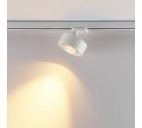 Molto Luce Mag faretto con adattatore trifasico per sistema di binari Track, LED, 222-00148, Mag [Lampade per Interni > Sistemi di binari]