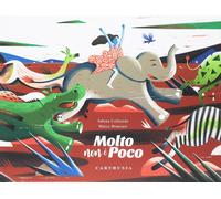 Molto non è poco. Ediz. a colori