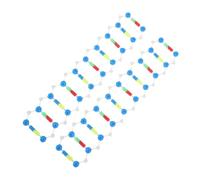 MOLUCKFU 2 pezzi Kit Componenti Molecolari Dna Doppia Spirale Strumento Didattico per Scienze Biologiche Parti Autocostruibili per Studio Genetica e Insegnamento Studenti