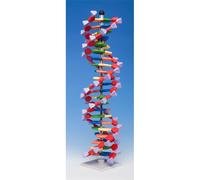 Molymod AMDNA-060-22 Minidna Advanced 22 Strato (Base Paio) Molecolare Model Kit