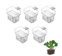 Molyorch 5 Pezzi Vaso Appeso Trasparente per Piante, Portavasi da Parete in ABS per Idrocoltura, Acquario e Balcone, Design Moderno Senza Fori
