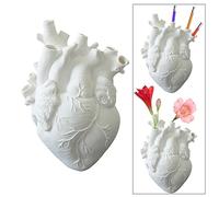 Molyorch Vaso Anatomico del Cuore Creativo - Forma Cuore Statue per Decorazione Floreale, Regali la Confessione, Strumenti Didattici