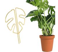 MOLZINY Supporto per Piante per germogli per steli Bastone per Piante Supporti per Piante Pieghevoli Palo per Piante Rampicanti Asta di Muschio Palo Supporto Monstera per Piante Rampicant da Interni
