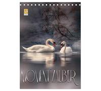 Moment Zauber (Tischkalender 2026 DIN A5 hoch), CALVENDO Monatskalender: Balsam für die Seele ... nimm dir Zeit und genieße den Moment ...
