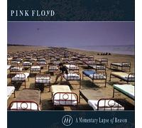 Momentary Lapse of Reason
