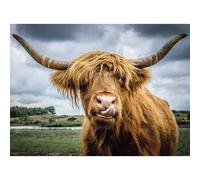 Momento puzzle ravensburger: Bovini delle Highlands 300 pezzi 1 St