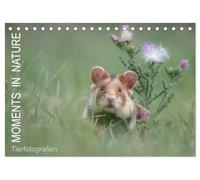 Moments in Nature (Tischkalender 2026 DIN A5 quer), CALVENDO Monatskalender: Tierfotografien