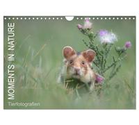 Moments in Nature (Wandkalender 2026 DIN A4 quer), CALVENDO Monatskalender: Tierfotografien