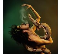 Momo Said Break the Rules (Vinyl LP) 12" Album