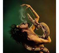 Momo Said Break the Rules (Vinyl LP) 12" Album