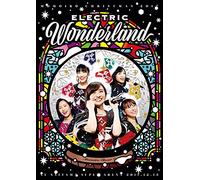 Momoiro Clover Z - Momoiro Christmas 2017 -Kanzen Muketsu No Electric Wonderland- Live Dvd (4 Dvd) [Edizione: Giappone]