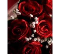 MOMOMAGE The Bouquet Rose 9 Fiori Trucchi Magici Blooming Bouquet per Lover Stage Wedding Party Stage Illusioni Commedia Mentalismo Divertente