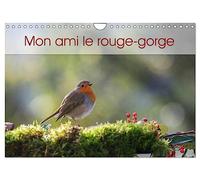 Mon ami le rouge-gorge (Calendrier mural 2026 DIN A4 vertical), CALVENDO calendrier mensuel: Une année de la vie du rouge-gorge