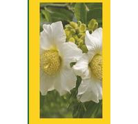 Mon Carnet: Pour ceux qui aiment le Sénégal et sa culture