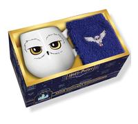 Mon coffret cocooning Harry Potter: Avec 1 mug et 1 paire de chaussettes