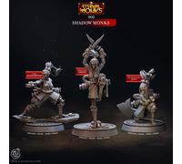 Monaco Kämpferinnen Miniatura Set Ombra Monaci Figura per Ttrpg's Come D 5e
