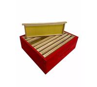 Mondo Ape Melario Completo di 9 telaini con Cera - Pronto per Essere Messo a Raccolta - Apicoltura