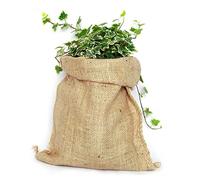 MONDO VIRO Sacco per raccolta in juta naturale - resistente, eco-friendly e biodegradabile (2, 58 x 102 cm)