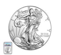 Moneta da collezione da 1 dollaro Morgan AU del 2013, circa 90% argento non circolata