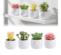 Monetais Confezione da 4 piante grasse artificiali in vaso - Mini piante finte per la decorazione della casa, senza manutenzione Set di piccole realistiche da scrivania Mini grasse