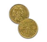 Monete antiche francesi, Collezione moneta argento francia, monete d'oro vecchie lire italiane per collezionisti, moneta commemorative antica europee (Louis XIII Louis d'or 1640)