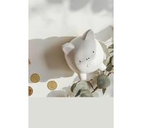 Money Glow-Up Planner: Simple Budget & Savings Tracker