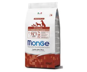 MONGE DOG PUPPY ALL BREEDS AGN