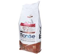 Monge Mini Adult Agnello Riso & Patate 7500 G