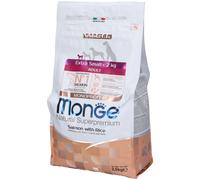 Monge Salmone E Riso Cibo Secco Per Cani Adulti Taglia Molto