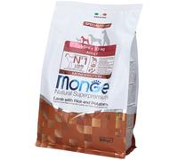Monge Mini Adult Agnello Riso & Patate 800 G